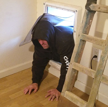 Welcome To The Secure Pet Door Web Site